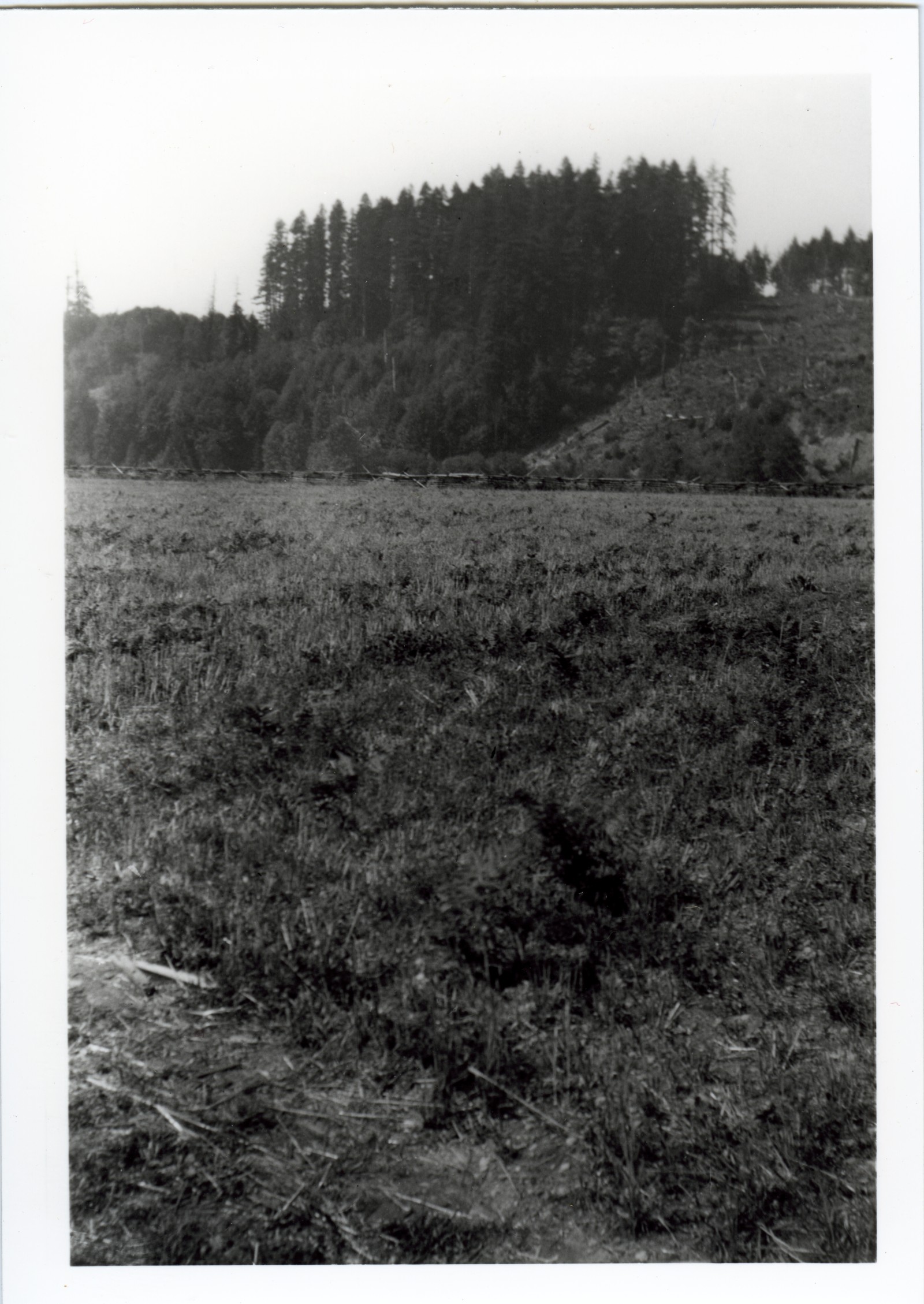 Hilpert farm looking east across the hwy