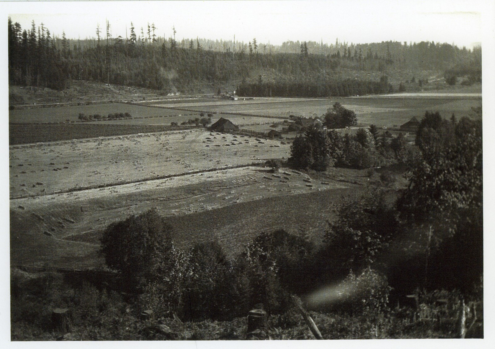 Hilpert Farm from Hill Above River